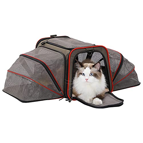 Petsfit Airline Approved Expandable Large Cat Carrier Small Dog Carrier, 17" x 11" x 11" Collapsible Portable Soft-Sided Airplane Pet Carrier Bag with Two Extension, Fit for Outdoor Use