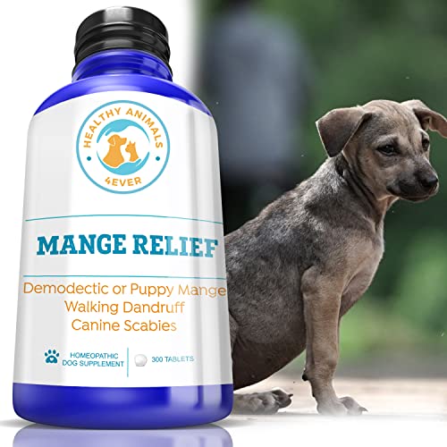 HealthyAnimals4Ever Mange Relief for Dogs - Treatment for Itchiness, Scabs, & Hair Loss Caused by Mites - All-Natural, Homeopathic, Non-GMO, Organic - Gluten, Preservative & Chemical Free - 300 ct