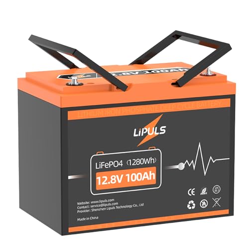LIPULS 12V 100Ah LiFePO4 Battery, Built-in 100A BMS, Max.1280Wh Lithium Iron Phosphate Battery, 10-Year Lifespan, Perfect for RV, Marine, Solar Panel