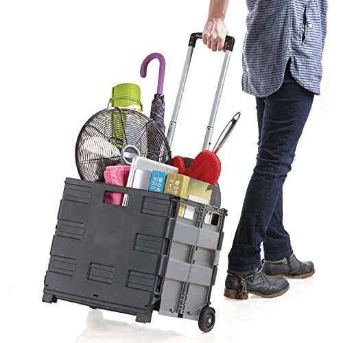 Inspired Living Ultra-Slim Rolling Collapsible Storage Pack-N-Roll Utility-carts, with Telescopic Handle, for Home, Garden, Shopping, Office, School use, Large, Grey & Black