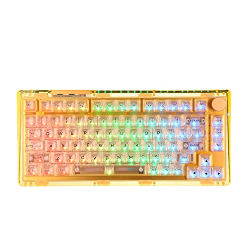 KiiBoom Phantom 81 75% Hot Swappable Gasket-Mounted Mechanical Keyboard, BT5.0/2.4GHz/USB-C Wired Wireless NKRO Gaming Keyboard with South-Facing RGB, 4000mAh Battery for Win/Mac(Yellow)