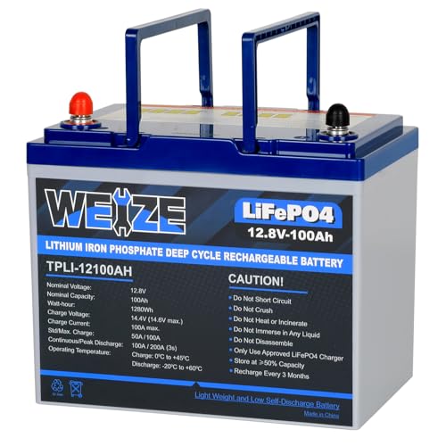 WEIZE 12V 100Ah Mini LiFePO4 Lithium Battery, Built-in 100A Smart BMS, Max. 1280Wh Energy LiFePO4 Battery in Small Size, Up to 8000 Cycles, Perfect for RV, Solar, Marine, Trolling Motor