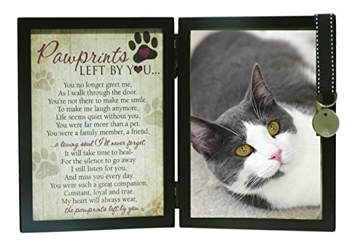 Pawprints Left By You Memorial 5x7 Frame for Cat with Pet Tag