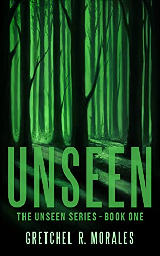 Unseen (The Unseen Series Book 1)
