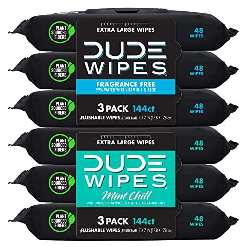 DUDE Wipes - Flushable Wipes - 6 Pack, 288 Wipes - Unscented & Mint Chill Combo, Extra-Large Adult Wet Wipes with Vitamin-E & Aloe for at-Home Use - Septic and Sewer Safe