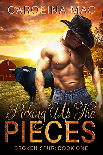 Picking Up the Pieces: McKenna Brothers (Broken Spur Book 1)