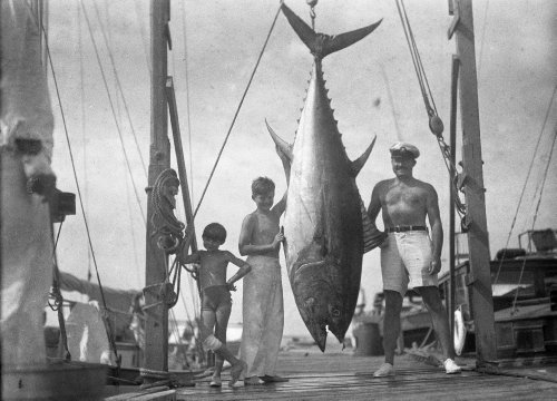 Ernest Hemingway and Sons Photo Tuna Big Game Fishing Photos 8x10