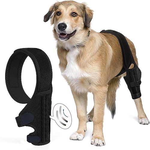 Dlevakve Dog Knee Brace for Support with Cruciate Ligament Injury, Joint Pain and Muscle Sore, Better Recovery with Dog ACL Knee Brace, Adjustable Rear Leg Dogs, Pet Knee Brace (Size: M)