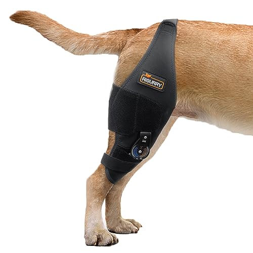 CHAMIN/RISURRY Dog Knee Brace with Adjustable Hinge Stabilizer, Dog ACL Knee Brace Support Osteoarthritis, Made with Premium Quality Neoprene(Right Leg,L)