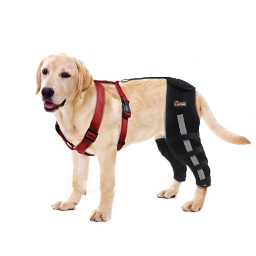 Hilltown Dog Knee Brace for Torn acl hind Leg,Dog Brace Rear Legs Connected,Dog acl hind Leg Brace,Dog Knee Brace for luxating Patella