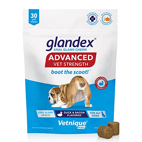 Glandex Anal Gland Soft Chew Treats with Pumpkin for Dogs Digestive Enzymes, Probiotics Fiber Supplement for Dogs Boot The Scoot (Advanced Strength Duck/Bacon Chews (Vegetarian), 30ct)