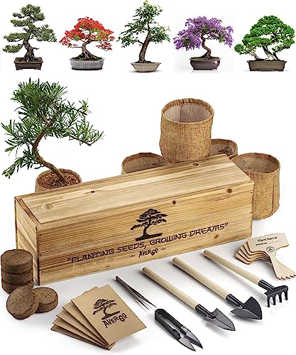 Bonsai Trees Kit  5+2 Unique Bonzai Trees | Complete Indoor Bonsai Starter Kit for Growing Bonsai Plants with Tools & Planters  Gardening Gifts for Women & Men