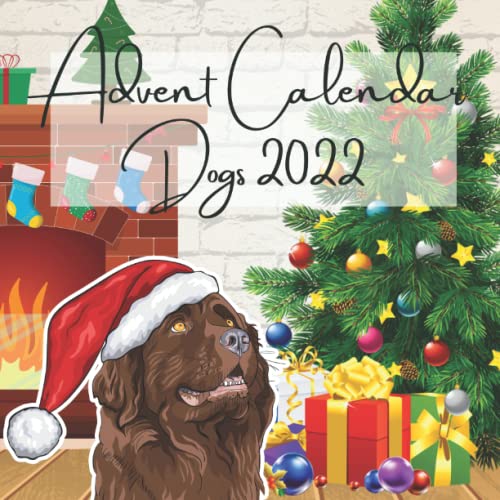 Advent Calendar Dogs 2022: The Christmas calendar for dog lovers | 24 days of useless knowledge and awesome facts