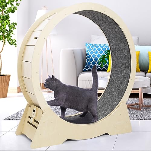 QOILITY Cat Exercise Wheel - Low-Noise Cat Wheels for Indoor Cats Fitness & Health - Suitable for Most Cats
