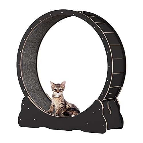 Homegroove Cat Exercise Wheel for Indoor Cat, 39.3" Large Cat RunningWheel with Carpeted Runway, Cat Treadmill Wheel for Kittys Longer Life, Cat Wheel for Fitness Weight Loss Device, Black(L)