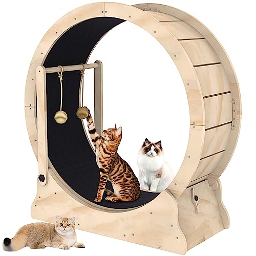 Cat Wheel, Cat Exercise Wheel with Cat Teaser, Cat Running Wheel Treadmill with Carpeted Runway and Cat Teaser, Fitness Weight Loss Device Cute Cat Furniture, Pet Toy, Cat Toy