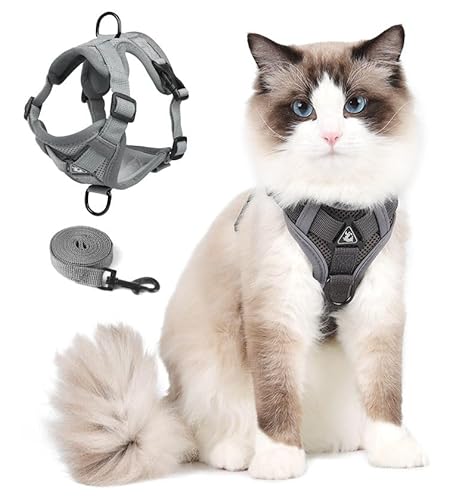 Cat Harness and Leash Set, Upgraded Escape Proof Adjustable Vest with Lead for Kitten Puppy Outdoor Walking, Soft Breathable Mesh Jacket with Reflective Strips for Dark Night (M, Mature Gray)