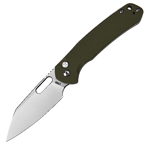 CJRB Pyrite-Alt (J1925A) Folding Pocket Knife with 3.11'' Stone Wash AR-RPM9 Wharncliffe Blade Green G10 Handle,Button Lock EDC Knife with Thumb Hole for Tactical,Outdoor,Hiking and Gift