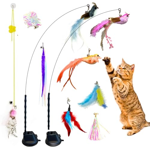 Felicity Suction Cup Cat Toy, 2 in 1 Interactive Bird Toy for Cats - 2 Strong Suction Cups, 9 Cat Feather Toys, 2 Durable Cat Wands, 1 Hanging Cat Toy - Interactive Cats Toys for Indoor Cats