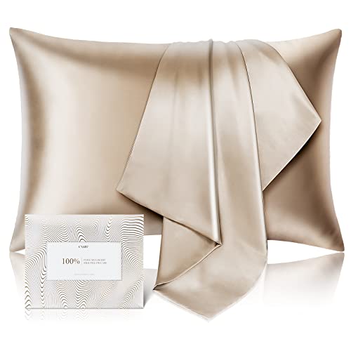 100% Pure Mulberry Silk Pillowcase for Hair and Skin - Allergen Resistant Dual Sides,600 Thread Count Silk Bed Pillow Cases with Hidden Zipper,1pc,Queen Size,Taupe