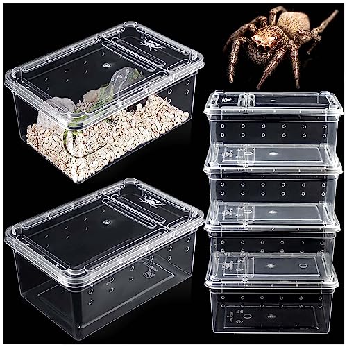 6 Pcs Spider Terrariums Breeding Box Insect Container Transparent Hatching Container Plastic Feeding Box for Small Reptile Spider Scorpion Centipede Insect - Mini
