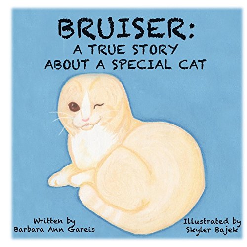 Bruiser: A True Story About a Special Cat