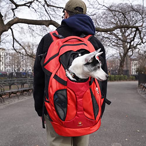 SHCihui Dog Backpacks Carrier for Medium & Large Dog Cat Travel & Hiking Pet Carrier Backpack with Safety Leash Large Ventilations Double-Layer Structure (New Red)