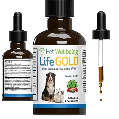 Pet Wellbeing Life Gold for Cats - Vet-Formulated - Immune Support and Antioxidant Protection - Natural Herbal Supplement 2 oz (59 ml)