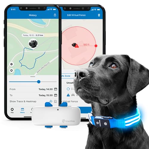 Tractive GPS Pet Tracker with LED Light Up Dog Collar - Waterproof, GPS Location & Smart Activity Tracker, Unlimited Range (Blue, Medium)