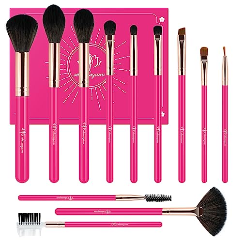 Makeup Brushes 12Pcs Makeup Kit,Foundation Powder Brush Eyeshadow Brush Concealers Blush Face Make up Brushes Set with Premium Premium Gift Box(12Pcs,Rose Red)