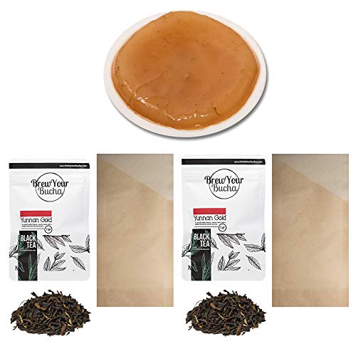 Brew Your Bucha Kombucha Tea SCOBY with Starter Fluid - Kombucha Starter Kit with Scoby, Live Culture, Scoby Kombucha Starter, Kombucha Kit, DIY Kombucha Brewing Kit, Scoby Kombucha Tea Starter