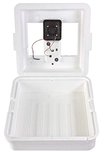 Little Giant Digital Still Air Incubator | 41 Eggs | Egg Incubator with Temperature and Humidity Control | Chick Incubator