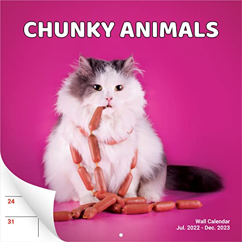 Super Cute and Hilarious 18 Month Chunky Animals Wall Calendar 2023-2024. Big 12x12 Inch Novelty Gift for Men and Women. Funny Stocking Stuffer, Office Decor, or White Elephant Idea for Animal Lovers