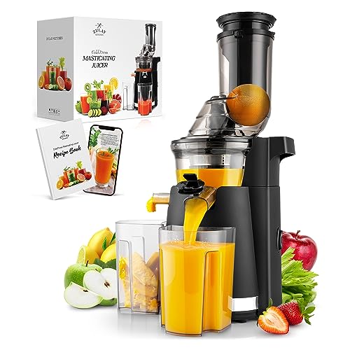 Zulay Fruit Press Machine - Masticating Juicer Machine with High Yield, Quiet Motor, & Reverse Function - Celery Juicer & Carrot Juicer with Wide Chute - Slow Juicer Cold Press for Fruits & Vegetables