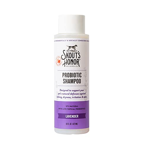 SKOUT'S HONOR Probiotic Shampoo Lavender for Dogs, 16 fl. oz., 16 FZ