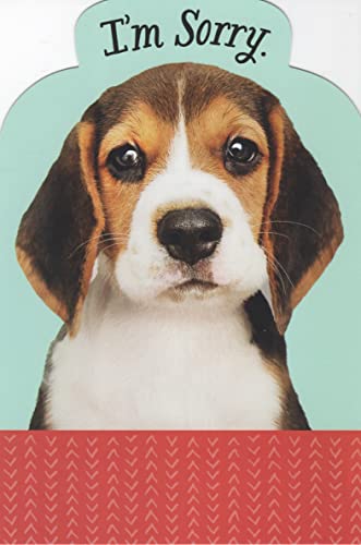 Beagle I'm Sorry Card Please Forgive Me Card - Hope You Can Find it in Your Heart to Forgive Me