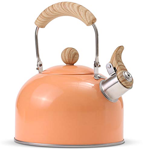 ROCKURWOK Whistling Tea Kettle, 2.5 QT / 80 OZ, Honeydew Teapot, Universal Base for Induction | Gas | Electric | Halogen | Radiant, Cool Toch Foldable Handle, Vintage