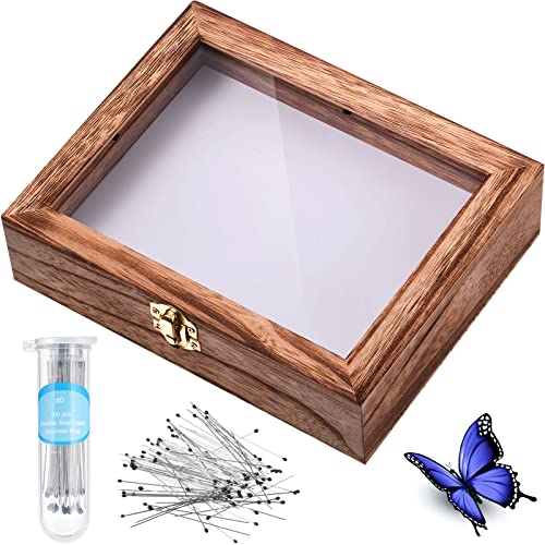 Insect Display Case Box Collection Box with Clear Top, EVA Foam Pinning Board and 100 Pieces Pins Insect Shadow Box Kit Entomology Supplies for Collecting Butterfly Specimen(Carbonized Black)