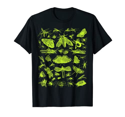 insect Collection Bugs Entomologists boys and girls T-Shirt