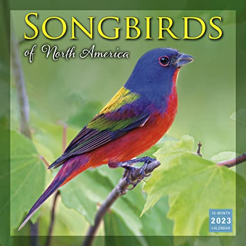Songbirds of North America 2023 Wall Calendar, 16-Month Nature Calendar, 12" x 12"