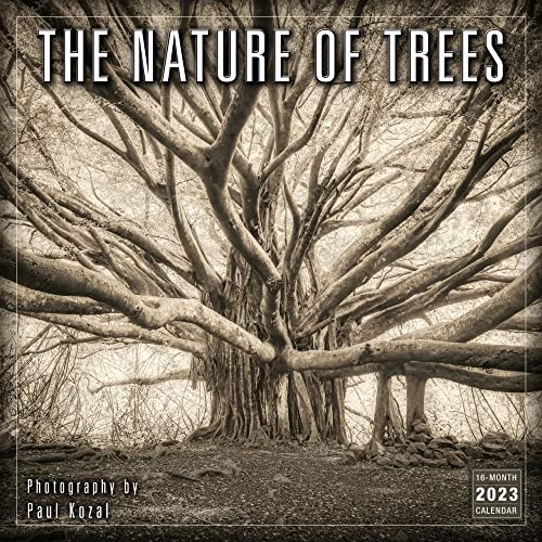 The Nature of Trees 2023 Wall Calendar, 16-Month Nature Calendar  The Photography of Paul Kozal, 12" x 12"