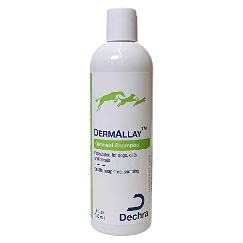 DermAllay Oatmeal Shampoo, 12 Ounce