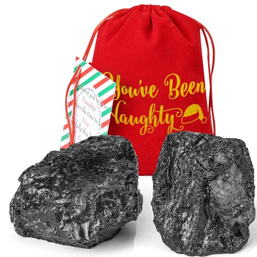TFTAFAN Christmas Coal Christmas Santa Fake Coal Ultimate Naughty List Lump of Coal,Resin Fake Coal Christmas Bag of Coal Santa's Naughty or Nice Gifts for Holiday Santa Stocking Stuffer (1)