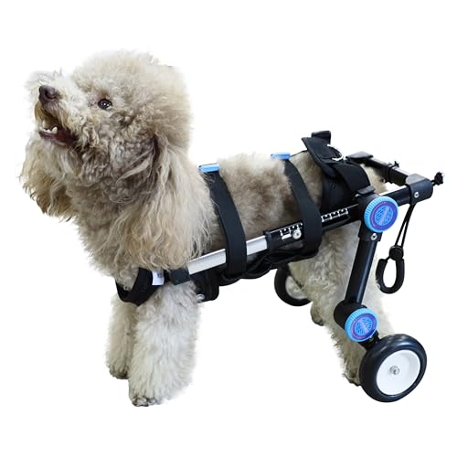 Adjustable Dog Wheelchair | Adjustable Dog Stroller | Lightweight pet Wheelchair | Assist Small Pets with hind Limb Disabilities to regain Mobility | New Black (XS, S) Size (XS)