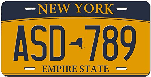 Custom Personalized All 50 States State License Plate Novelty Automobile Accessory Off Road Customized Durable Aluminum (New York)