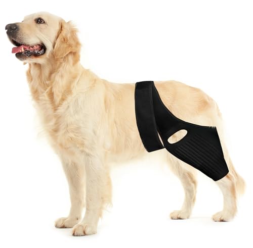 Dog ACL Knee Leg Brace - Huimpet Dog ACL Brace for Front Torn and Back Hind Rear Legs ACL Tear, Dog Leg Brace for Hip Dysplasia, Dog Arthritis and Luxating Patella, Comfortable and Adjustable (M Size)