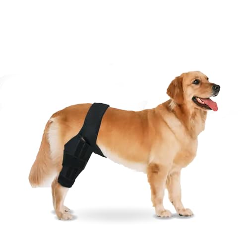 Yuksito Dog Knee Brace for Torn ACL Hind Leg, Dog Knee Brace for luxating patella, Dog Arthritis Brace, Dog Leg Brace Maintains Joint Warmth and Stability, Alleviates Pain Reduces Inflammation (Large)