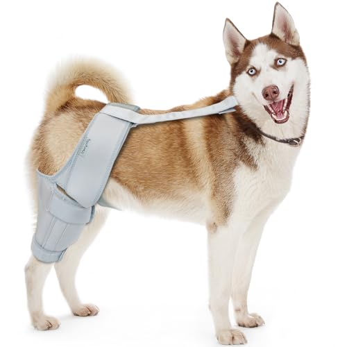 MerryMilo Dog Knee Brace, Support for Large and Small Dogs with ACL, CCL, Cruciate Ligament Injuries, Patella Dislocation, or Osteoarthritis for Both Back and Front Legs - Color: Silver, Size: XL