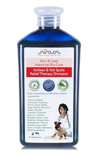 Arava Natural Medicated Dog Shampoo  Anti Yeast Anti Itch Dog Shampoo - Healthy Skin & Coat - First Aid in Hot Spots Ringworm Scrapes Abrasions & Dermatologic Infections - 400ml / 13.5 fl oz