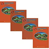 Piano Town Level 4 Piano - Four Book Set - Lesson, Theory, Performance and Technic Primer Level Books